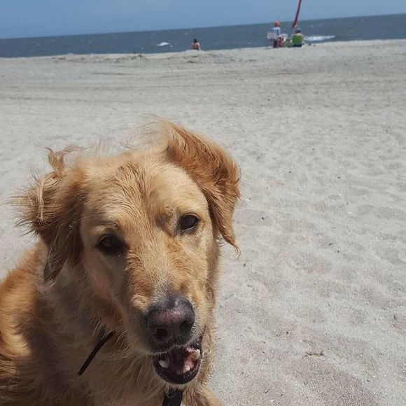 Welcome to my Purse Problem! - Picture 1 of 3